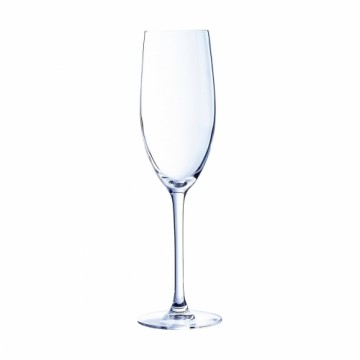 C&S Šampanieša glāze Chef & Sommelier Caurspīdīgs Stikls (24 cl)