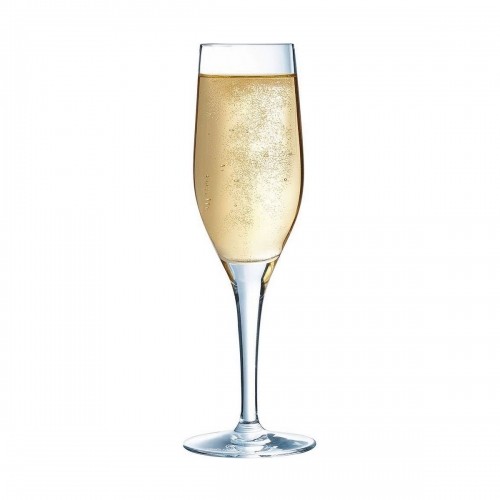 C&S Šampanieša glāze Chef & Sommelier Caurspīdīgs Stikls (19 cl) image 2