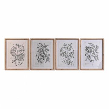 Картина DKD Home Decor Ель Стеклянный Ботанические растения (50 x 65 x 2 cm) (4 штук)