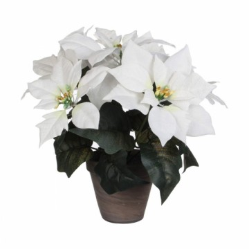 Bigbuy Home Декоративное растение Белый PVC (27 X 35 CM)