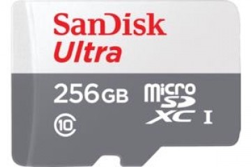 Sandisk MICRO SDXC 256GB UHS-I/SDSQUNR-256G-GN6TA 