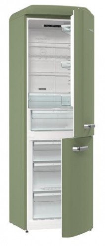 Refrigerator GORENJE ONRK619DOL image 1