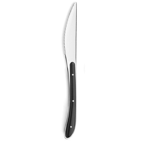 Столовый нож Amefa Bistro Металл Двухцветный (23 cm) (Pack 6x) image 1