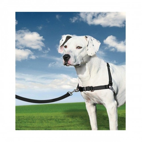 Mājdzīvnieku Siksniņa PetSafe Easy Walk Melns Medianav (M) image 2