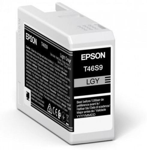 EPSON  
         
       UltraChrome Pro 10 ink T46S9 Ink cartrige, Light Gray image 1
