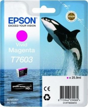 EPSON  
         
       T7603 Ink Cartridge, Magenta