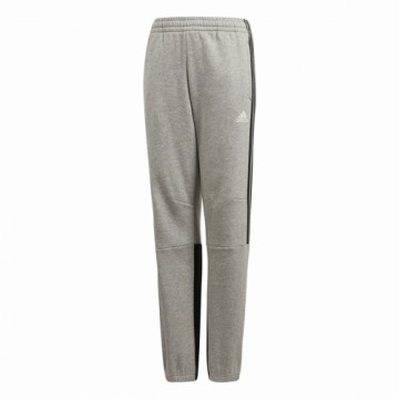 Bērnu Šorti Sportam Adidas Pelēks