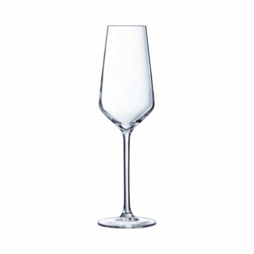 C&S Plakana šampanieša un kavas glāze Chef & Sommelier Distinction 6 gb. Stikls (230 ml)