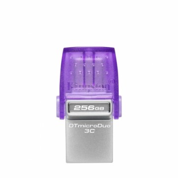 Flash Atmiņa Kingston DTDUO3CG3/256GB Violets 256 GB SSD Nerūsējošais tērauds