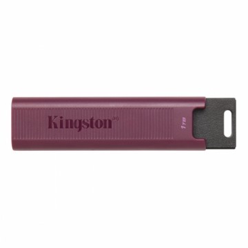 USB Zibatmiņa Kingston DTMAXA/1TB