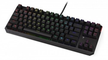 Endorfy Keyboard Thock TKL Kailh BR RGB