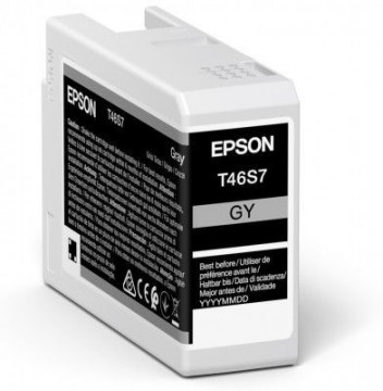 EPSON  
         
       UltraChrome Pro 10 ink T46S7 Ink cartrige, Grey