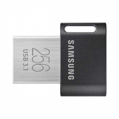 USB Zibatmiņa Samsung MUF-256AB 256 GB image 1
