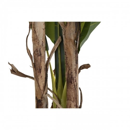 Dekoratīvs Augs DKD Home Decor banāns (90 x 90 x 250 cm) image 4