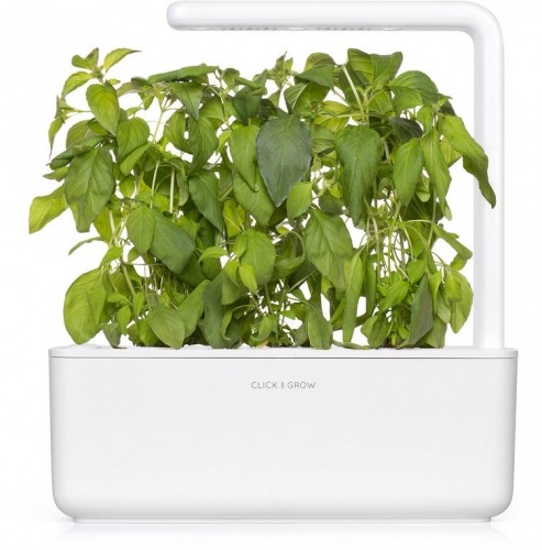 Click & Grow Smart Garden refill Lime Basil 3pcs image 2