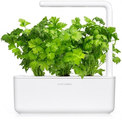Click & Grow Smart Garden Refill Leaf Celery 3pcs image 2