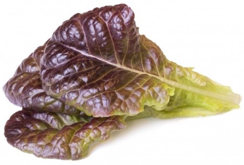 Click & Grow Smart Garden refill Red Lettuce 3pcs image 1