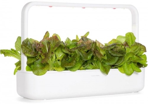 Click & Grow Smart Garden refill Red Lettuce 3pcs image 2