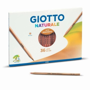 Цветные карандаши GIOTTO Naturale Разноцветный (36 Предметы)