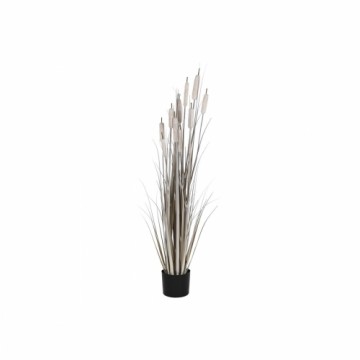 Декоративное растение DKD Home Decor тростник (35 x 35 x 120 cm)