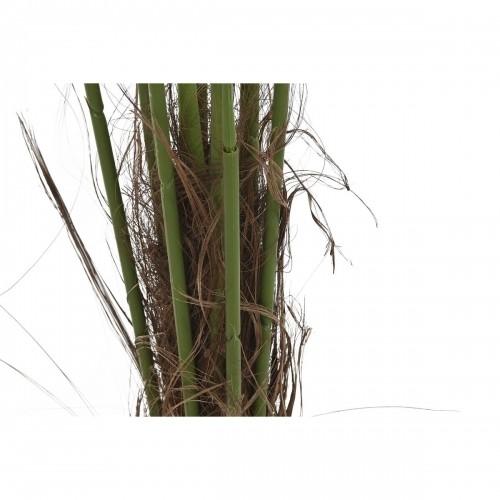 Декоративное растение DKD Home Decor Пальмовое (100 x 100 x 240 cm) image 2