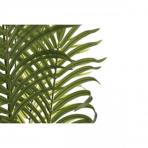 Декоративное растение DKD Home Decor Пальмовое (100 x 100 x 240 cm) image 4
