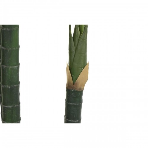 Декоративное растение DKD Home Decor Пальмовое (100 x 100 x 230 cm) image 2