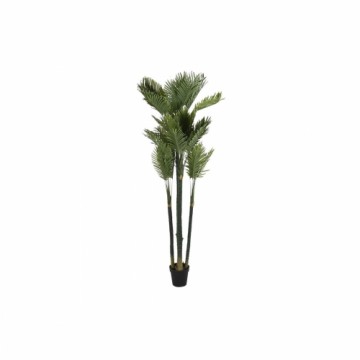 Декоративное растение DKD Home Decor Пальмовое (100 x 100 x 230 cm)
