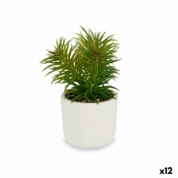 Ibergarden Декоративное растение Белый Зеленый (14 x 20 x 14 cm) (12 штук)