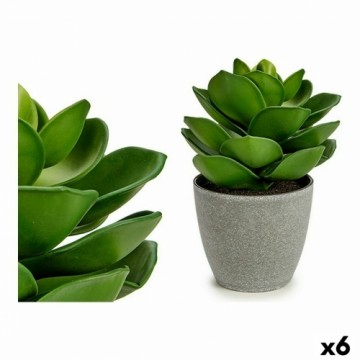 Ibergarden Декоративное растение Серый Зеленый (16 x 21 x 16 cm) (6 штук)