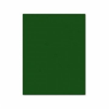 Картонная бумага Iris 185 g Темно-зеленый (50 x 65 cm) (25 штук)