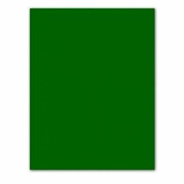 Картонная бумага Iris Зеленый 185 g (50 x 65 cm) (25 штук)