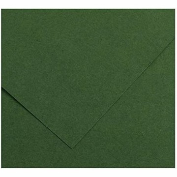 Картонная бумага Iris Amazon Зеленый 185 g 50 x 65 cm (25 штук)