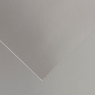 Картонная бумага Iris 250 g/m² Серебристый Серый 50 x 65 cm (25 штук)