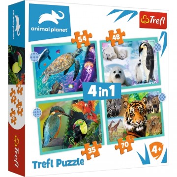 Trefl Puzzles TREFL Pužļu komplekts Dzīvnieki 4in1, 35+48+54+70 gab.