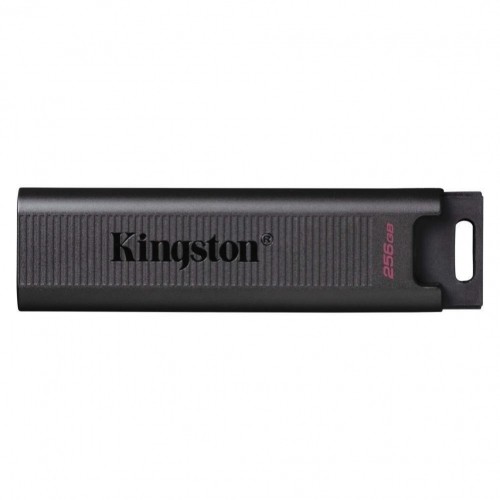 Kingston  
         
       MEMORY DRIVE FLASH USB3.2/256GB DTMAX/256GB image 1
