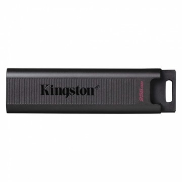 Kingston  
         
       MEMORY DRIVE FLASH USB3.2/256GB DTMAX/256GB