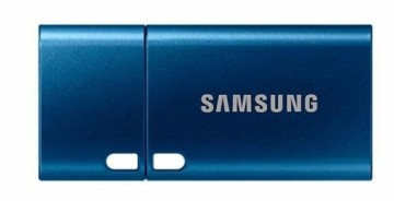 Samsung  
         
       MEMORY DRIVE FLASH USB3.1/256GB MUF-256DA/APC