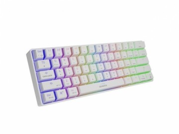 Genesis  
         
       THOR 660 RGB Gaming keyboard, RGB LED light, US, White, Wireless/Wired, Wireless connection, Gateron Red Switch
