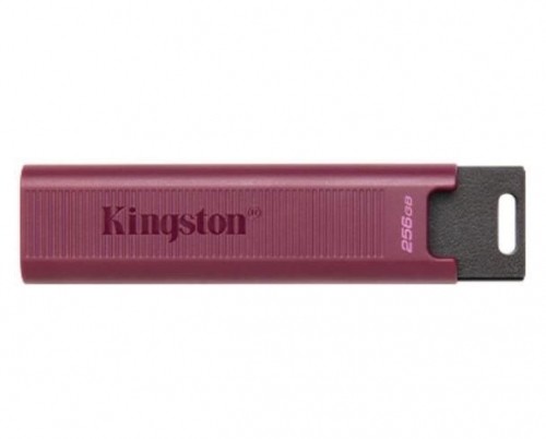 Kingston  
         
       MEMORY DRIVE FLASH USB3.2/256GB DTMAXA/256GB image 1
