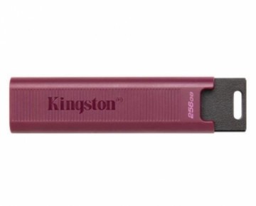 Kingston  
         
       MEMORY DRIVE FLASH USB3.2/256GB DTMAXA/256GB