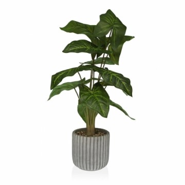 Декоративное растение Versa 15 x 53 x 15 cm Цемент Пластик