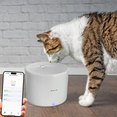 Tellur Smart WiFi Pet Water Dispenser, 2L white image 5