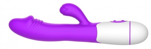 Erolab Dodger G-spot & Clitoral Massager Purple (ZYCD01p) image 2