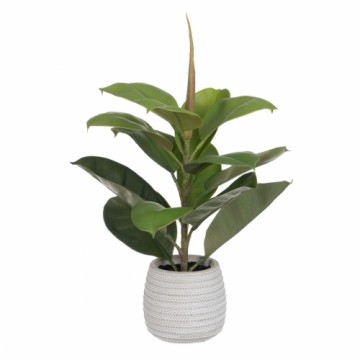 Bigbuy Home Декоративное растение Зеленый PVC Дуб 58 cm