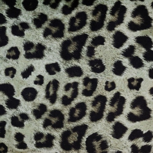 Bigbuy Home spilvens Zaļš Leoparda 45 x 45 cm image 3