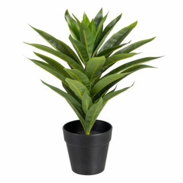 Bigbuy Home Декоративное растение Зеленый PVC Лилия