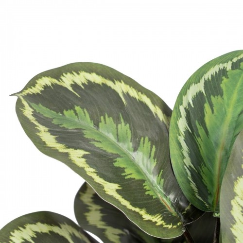 Bigbuy Home Декоративное растение 37 x 37 x 41 cm Зеленый PVC image 2