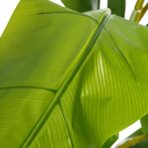 Bigbuy Home Dekoratīvs Augs 103 x 95 x 200 cm Zaļš PVC banāns image 5