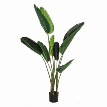 Bigbuy Home Декоративное растение Зеленый PVC 150 cm Стрелиция королевская